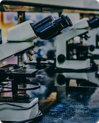 Development of 2D & 3D medical image processing software
