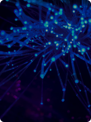 Set up of the DataSmart Program: 360° Multi-Network Customer Vision